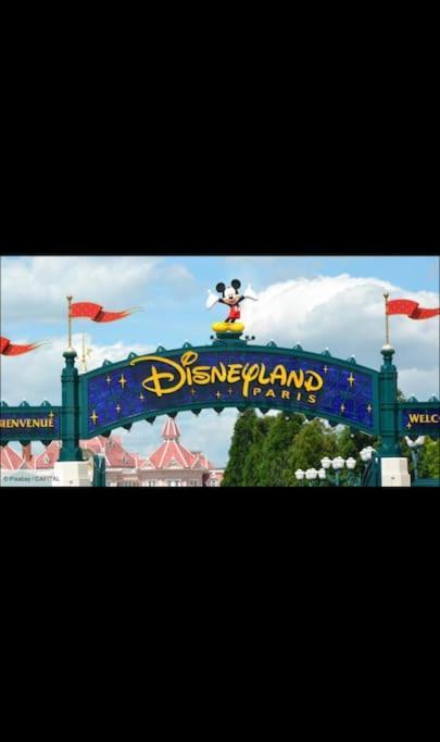 Appartement Vue Cathedrale- Centre Ville Meaux-Gare-Disney Екстер'єр фото